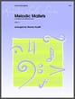 Melodic Mallets Mallet Percussion cover